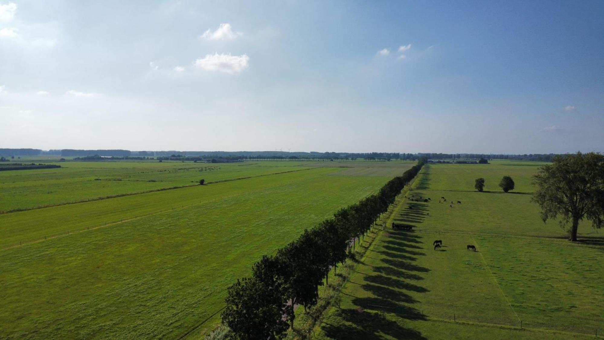 Landelijke Huis In De Betuwe Tricht Esterno foto